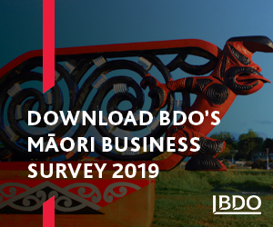 BDO Maori Business Survey Report 2019