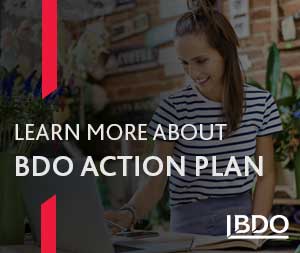 BDO action plan