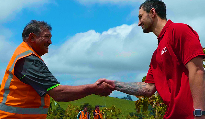 men shaking hands on a farm in northland